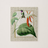 Puzzle de colibri à ventre blanc (Vertical)