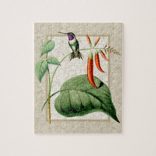 Puzzle de colibri à ventre blanc (Vertical)