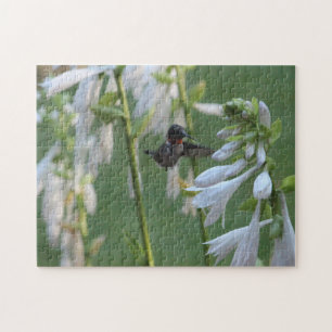 Puzzle de colibris