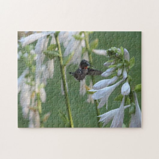 Puzzle de colibris (Horizontal)