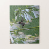 Puzzle de colibris (Vertical)