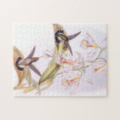 Puzzle de colibris (Horizontal)