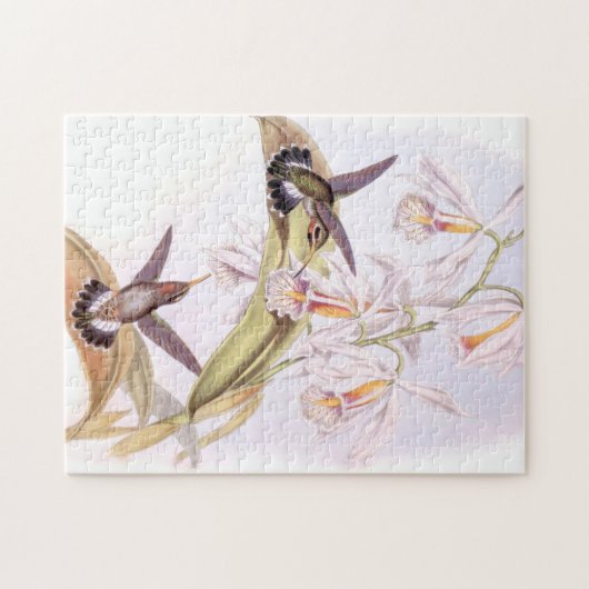 Puzzle de colibris (Horizontal)