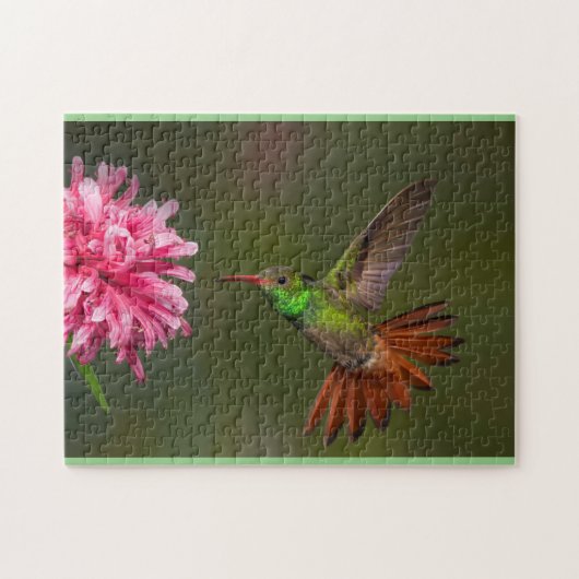 Puzzle de colibris (Horizontal)