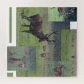 Puzzle de collage : Parc naturel Lelystad RED DEER (Horizontal)