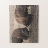 Puzzle de combat de faune de taureaux de bison (Vertical)