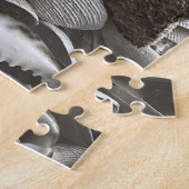 Puzzle de coquilles 11x14 pour les aveugles de cou (Côté)