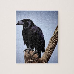 puzzle de corneille noire