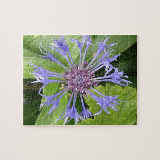 Puzzle de Cornflower bleu (Horizontal)