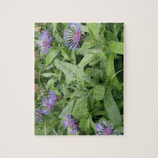 Puzzle de Cornflowers (Vertical)