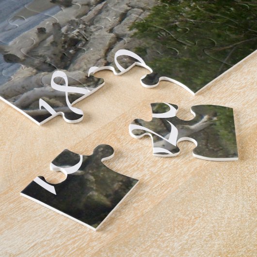 Puzzle de côte du Maine (Côté)