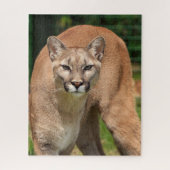 Puzzle de Cougar Lion (Vertical)