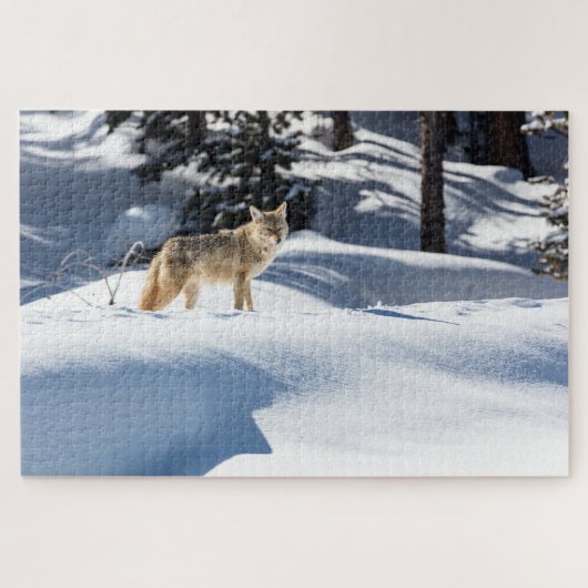 Puzzle de Coyote Hiver Animaux Sauvages (Horizontal)