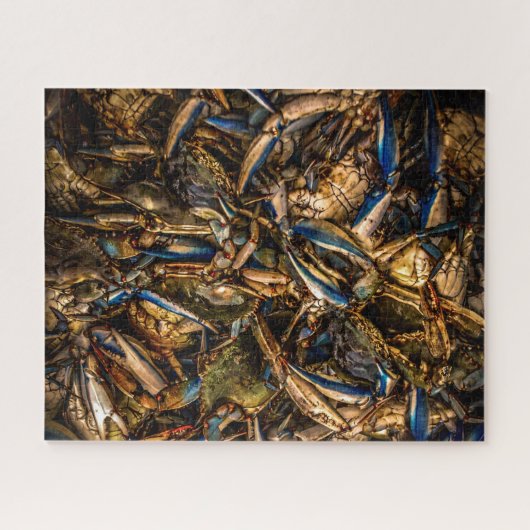 Puzzle de crabe bleu (Horizontal)
