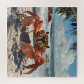 Puzzle de crabe de plage (Horizontal)