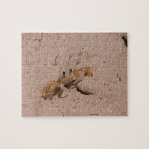 Puzzle de crabe de St Lucian