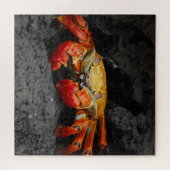 Puzzle de crabe rouge (Horizontal)