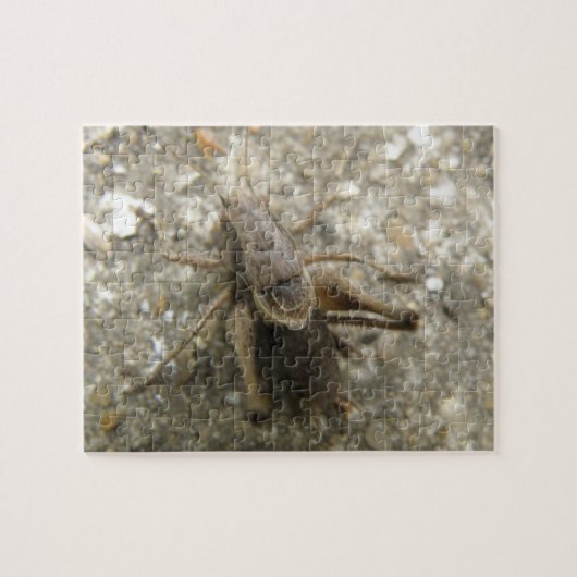 Puzzle de cricket Brown Field (Horizontal)