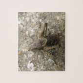 Puzzle de cricket Brown Field (Vertical)