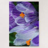puzzle de crocus (Vertical)