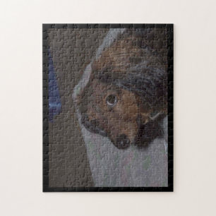 Puzzle de Dachshund à Poils Longs