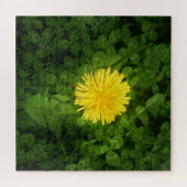 Puzzle de Dandelion (Horizontal)