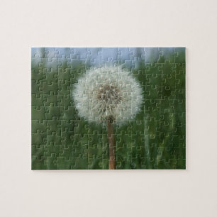 Puzzle de Dandelion