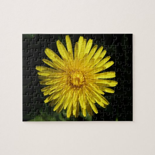 Puzzle de Dandelion (Horizontal)