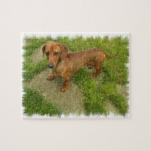 Puzzle de Daschund (Horizontal)