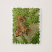 Puzzle de Daschund (Vertical)