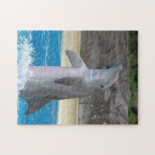 Puzzle de dauphin de danse (Horizontal)