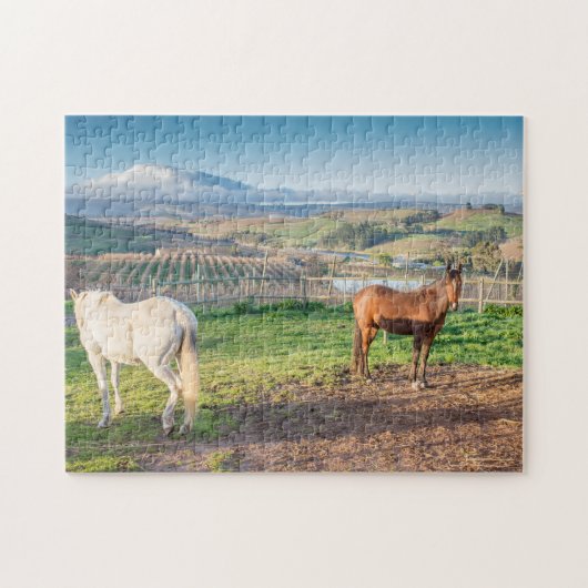 Puzzle de deux chevaux arabes (Horizontal)