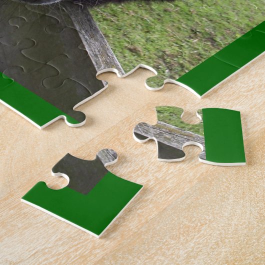 Puzzle de Donkey (Côté)