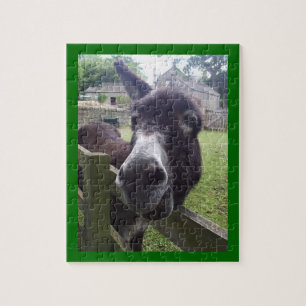 Puzzle de Donkey