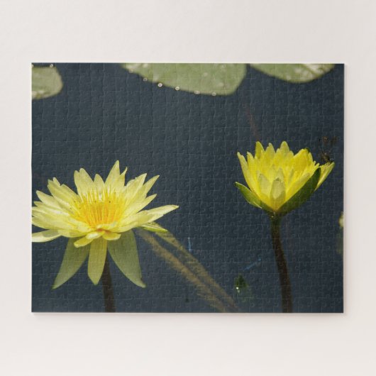 Puzzle de dragonfly Nénuphar jaune (Horizontal)