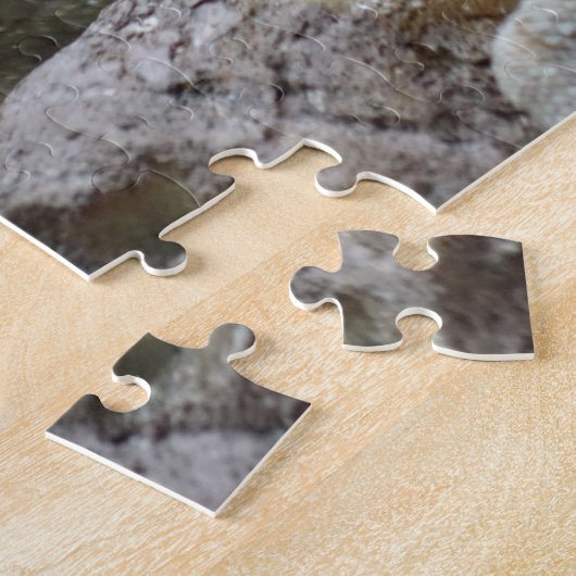 Puzzle de dragons barrés (Côté)