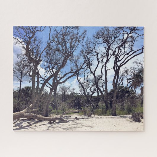 Puzzle de Driftwood Beach (Horizontal)