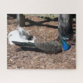 Puzzle de faisans indiens bleus et blancs (Horizontal)