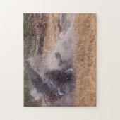 Puzzle de faune de Taureau de bison américain de (Vertical)