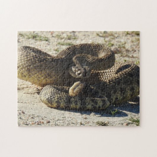 Puzzle de faune, serpents, serpent à sonnettes, (Horizontal)