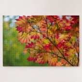 Puzzle de feuilles d'automne vraiment colorées (Horizontal)