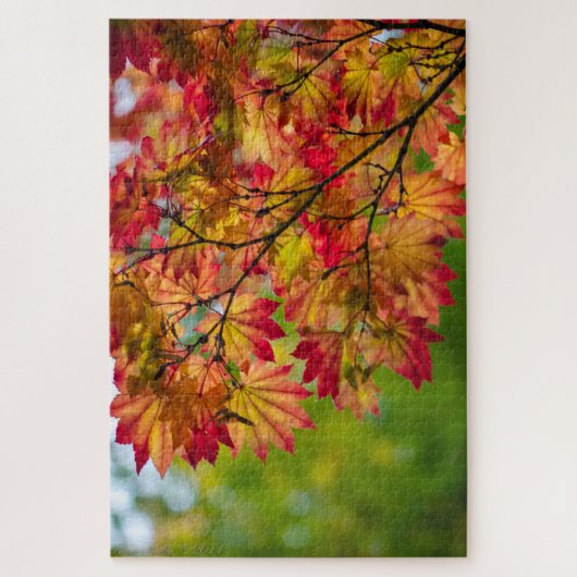 Puzzle de feuilles d'automne vraiment colorées (Vertical)