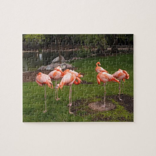 Puzzle de flamants roses (Horizontal)
