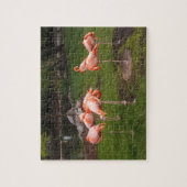 Puzzle de flamants roses (Vertical)