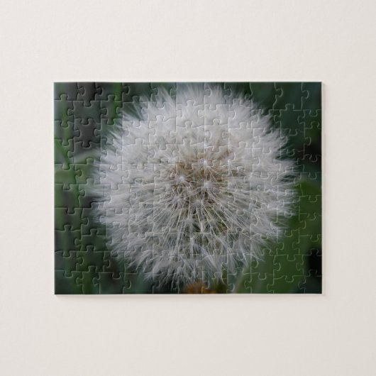 Puzzle de fleur de Dandelion (Horizontal)
