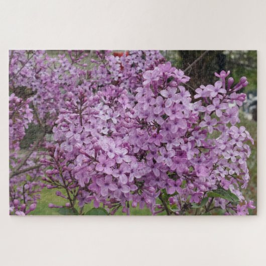 Puzzle de Fleur Rose (Horizontal)