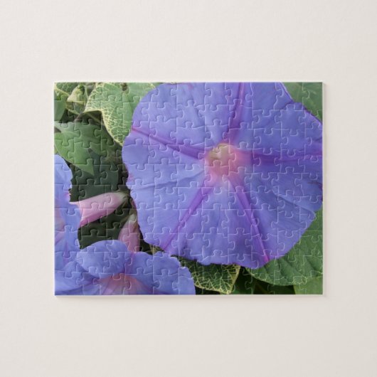 Puzzle de fleurs (Horizontal)