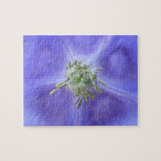 Puzzle de fleurs Aquilegia (Horizontal)