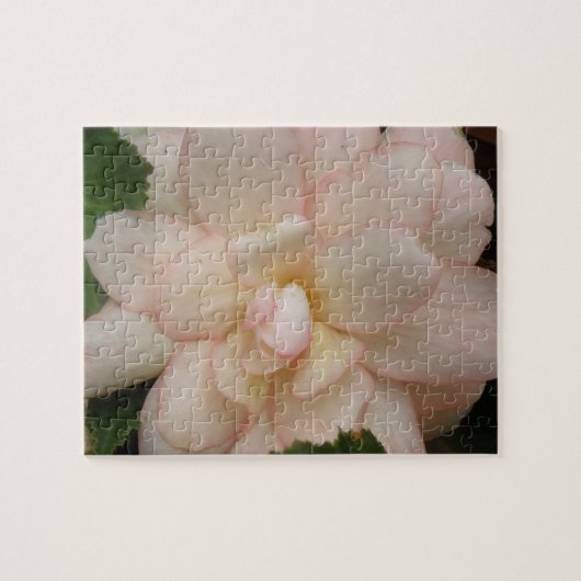 Puzzle de fleurs de Begonia (Horizontal)
