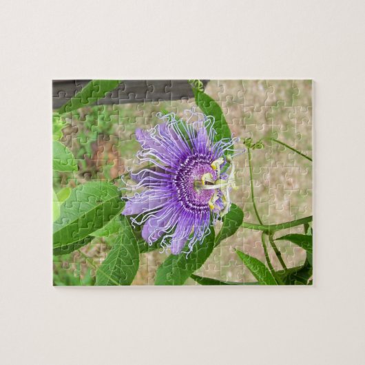 Puzzle de fleurs de passion (Horizontal)